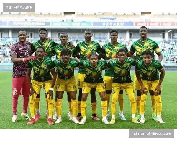 塞内加尔非洲冠军底蕴深厚 团队防守构建反击基础